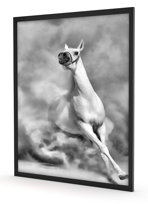 Weißes Pferd in der Wüste, Poster mit Bilderrahmen