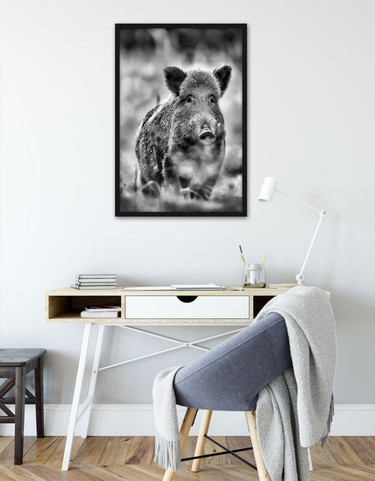 Wildschwein auf Wiese, Poster mit Bilderrahmen