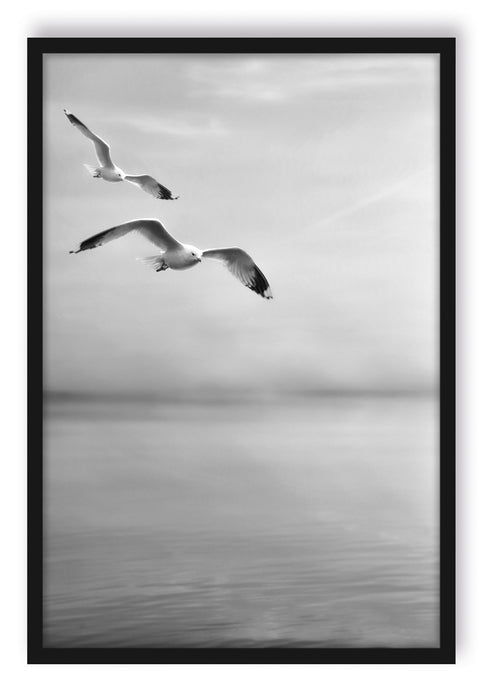 Pixxprint Möwen am Meer bei Sonnenaufgang, Poster mit Bilderrahmen