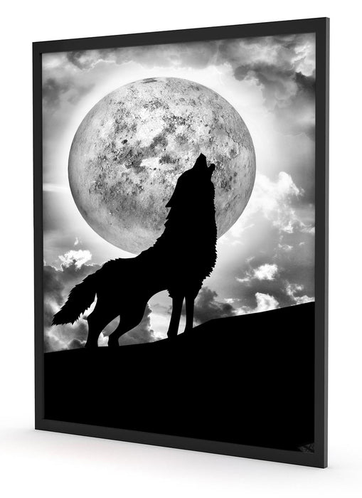 Wolf heult Mond an, Poster mit Bilderrahmen