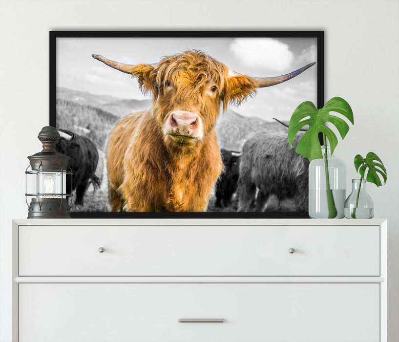 Blick einer Kuh an der Weide, Poster mit Bilderrahmen