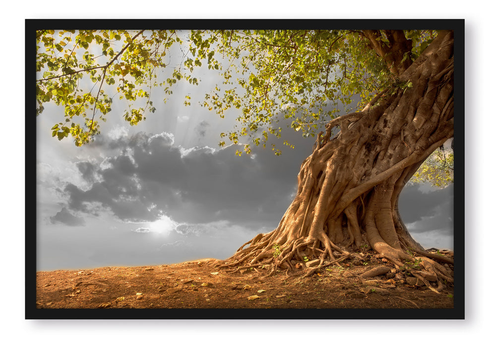 Pixxprint Baum, Poster mit Bilderrahmen