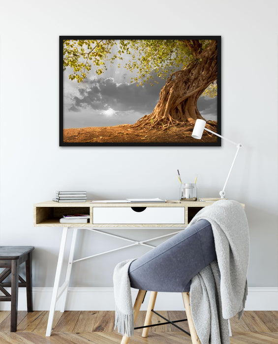 Baum, Poster mit Bilderrahmen