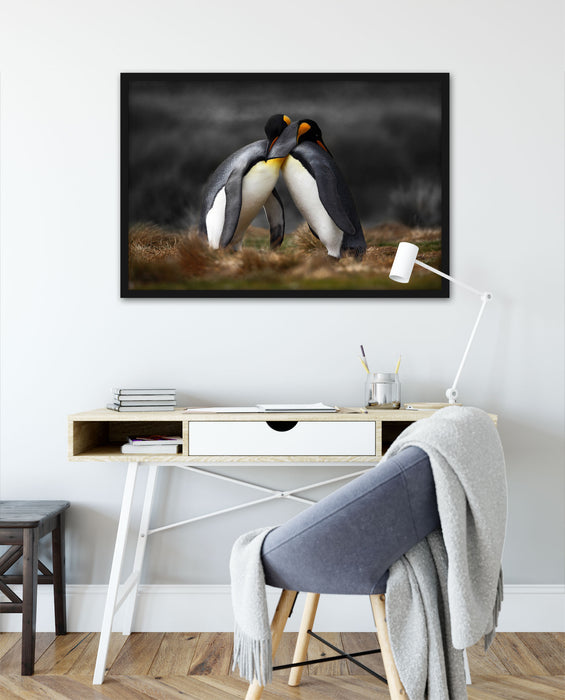 Pinguine in der Antarktis, Poster mit Bilderrahmen