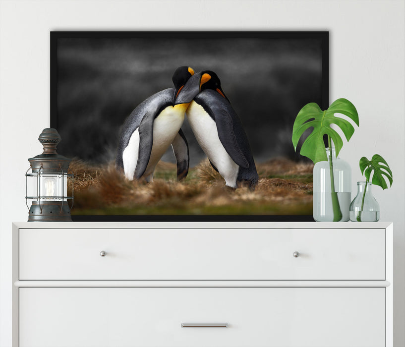 Pinguine in der Antarktis, Poster mit Bilderrahmen