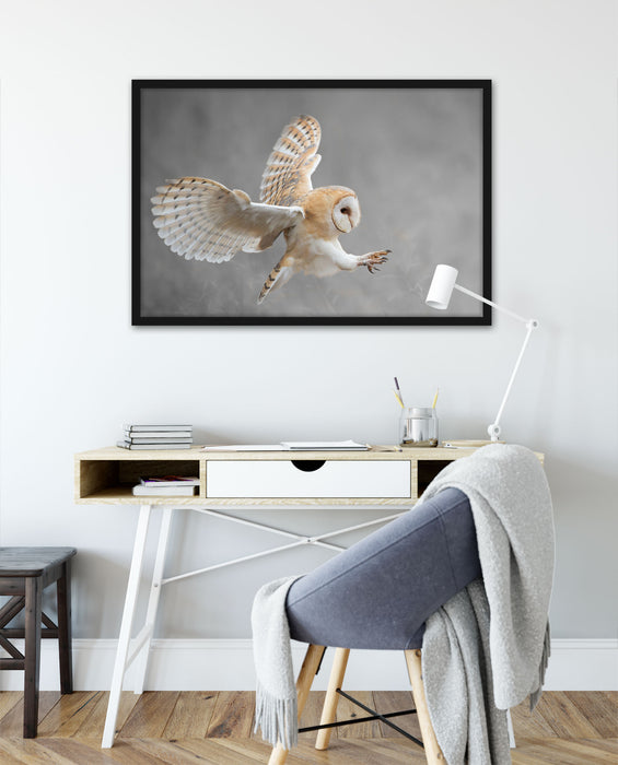 Fliegende Weiße Eule bei der Jagd, Poster mit Bilderrahmen