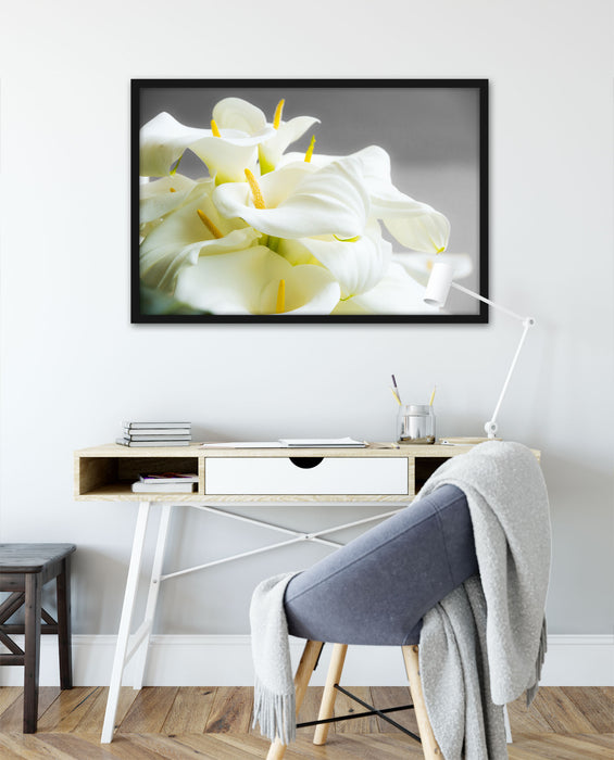 Wunderschöne weiße Calla Lilien, Poster mit Bilderrahmen