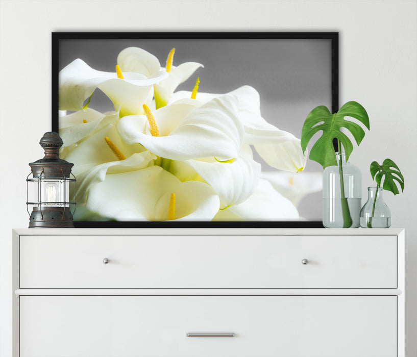Wunderschöne weiße Calla Lilien, Poster mit Bilderrahmen