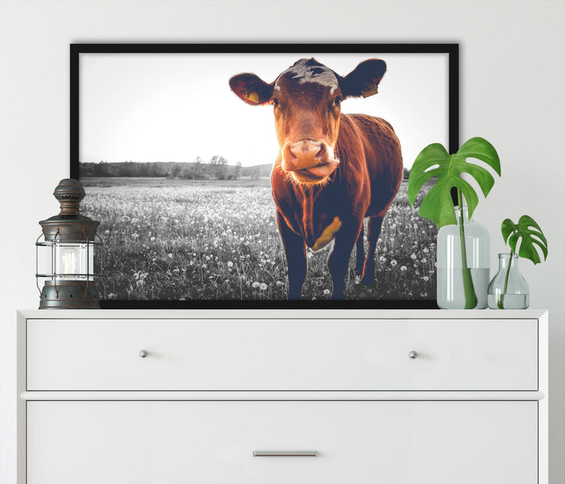 Kuh auf Butterblumenwiese, Poster mit Bilderrahmen