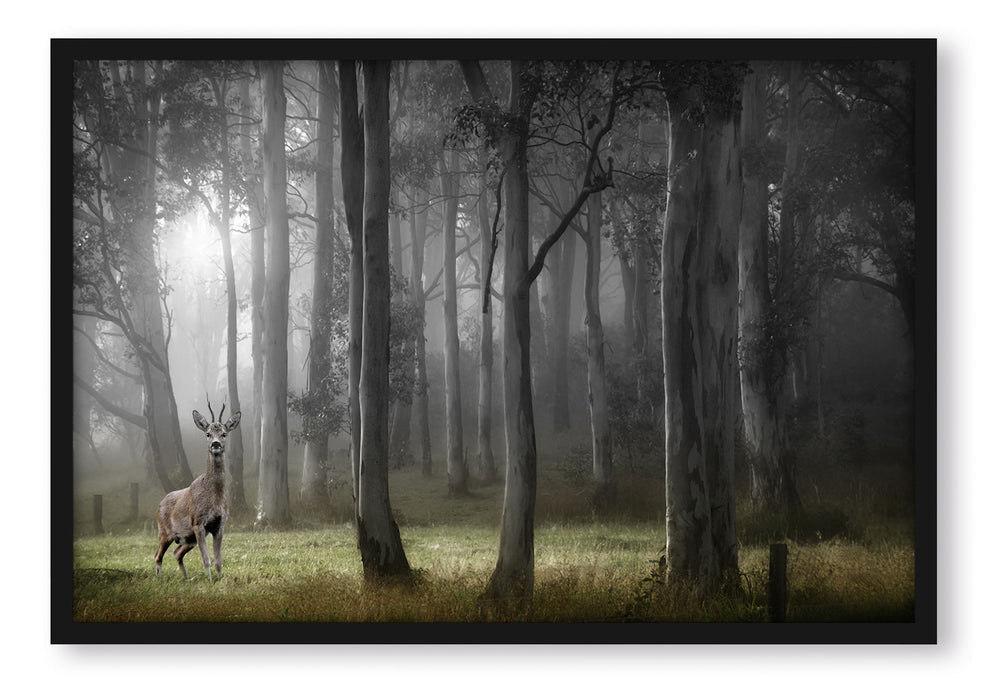 Pixxprint Hirsch im Wald, Poster mit Bilderrahmen