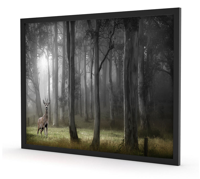 Hirsch im Wald, Poster mit Bilderrahmen