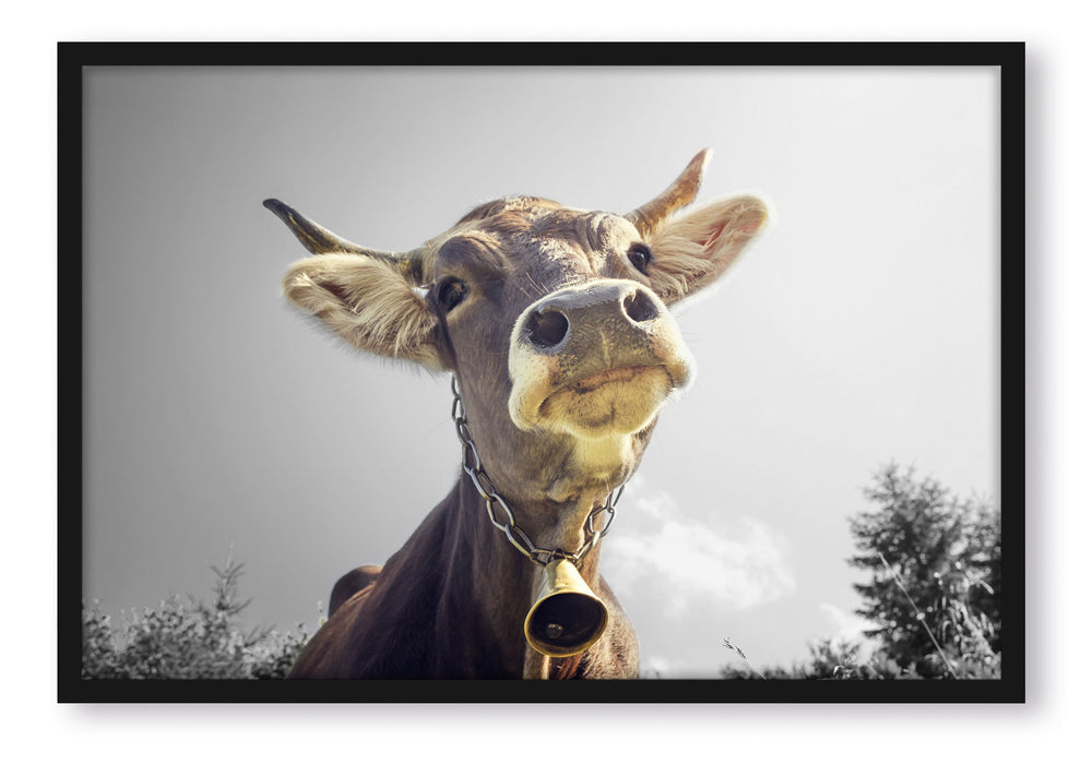 Lustiges Portrait einer Kuh, Poster mit Bilderrahmen