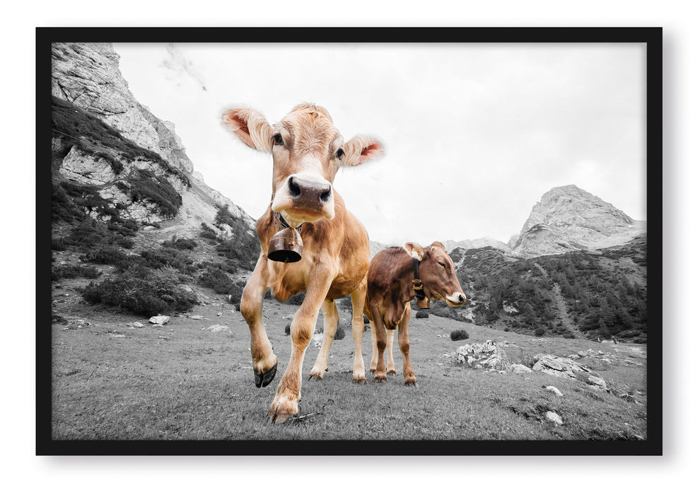 Pixxprint Almkuh auf der Weide, Poster mit Bilderrahmen