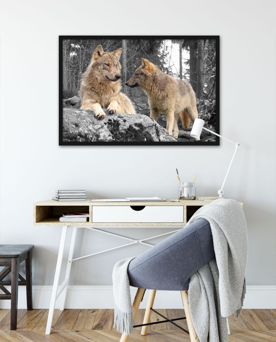 Wölfe im Wald, Poster mit Bilderrahmen