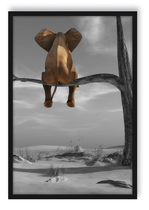 Pixxprint Elefant auf einem Ast in der Wüste, Poster mit Bilderrahmen