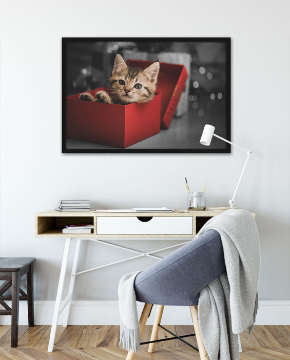 süsses Kätzchen in der Box, Poster mit Bilderrahmen