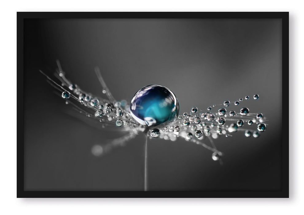 Pixxprint Wassertropfen auf einer Pusteblume, Poster mit Bilderrahmen