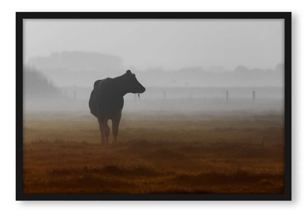 eine fressende Kuh auf der Weide, Poster mit Bilderrahmen