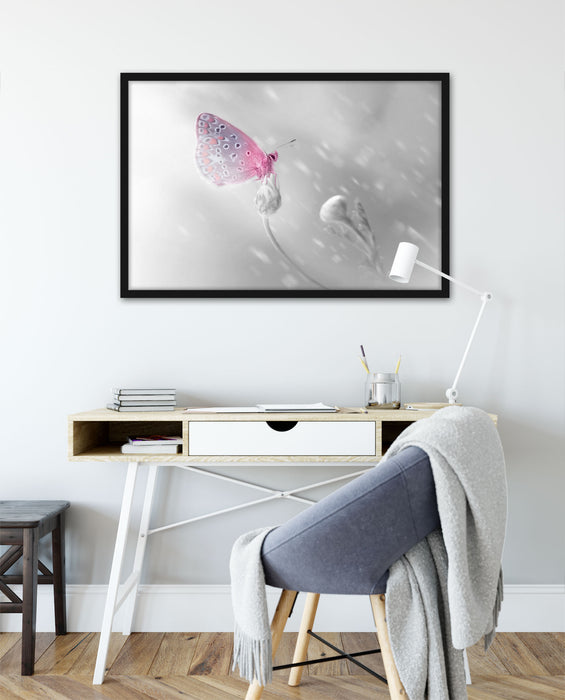 Schmetterling auf Blütenknospen, Poster mit Bilderrahmen