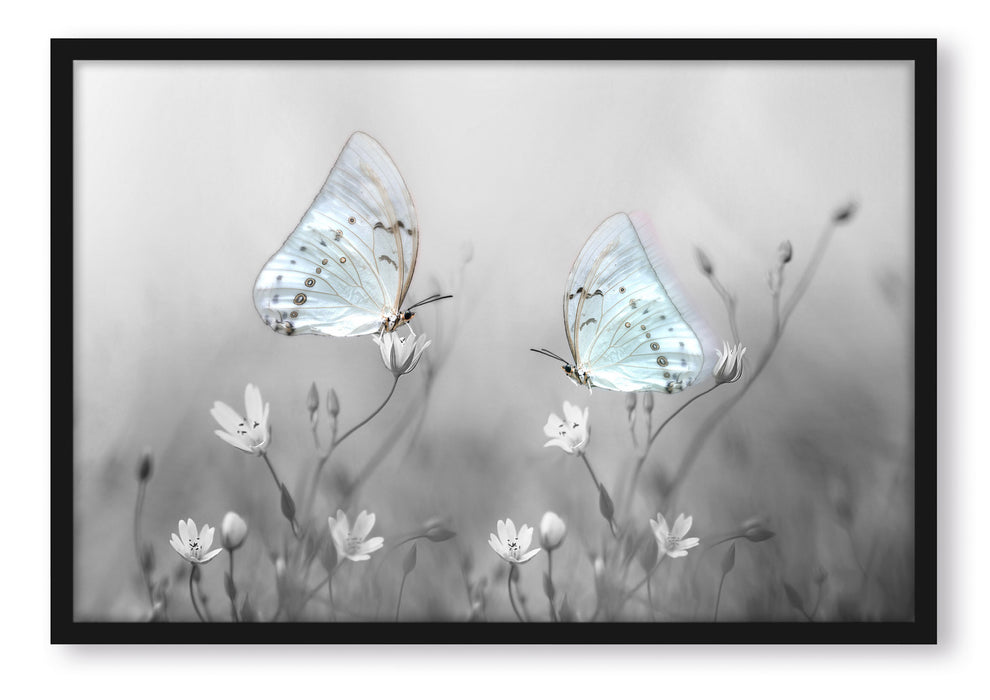Schmetterling auf kleinen Blumen, Poster mit Bilderrahmen