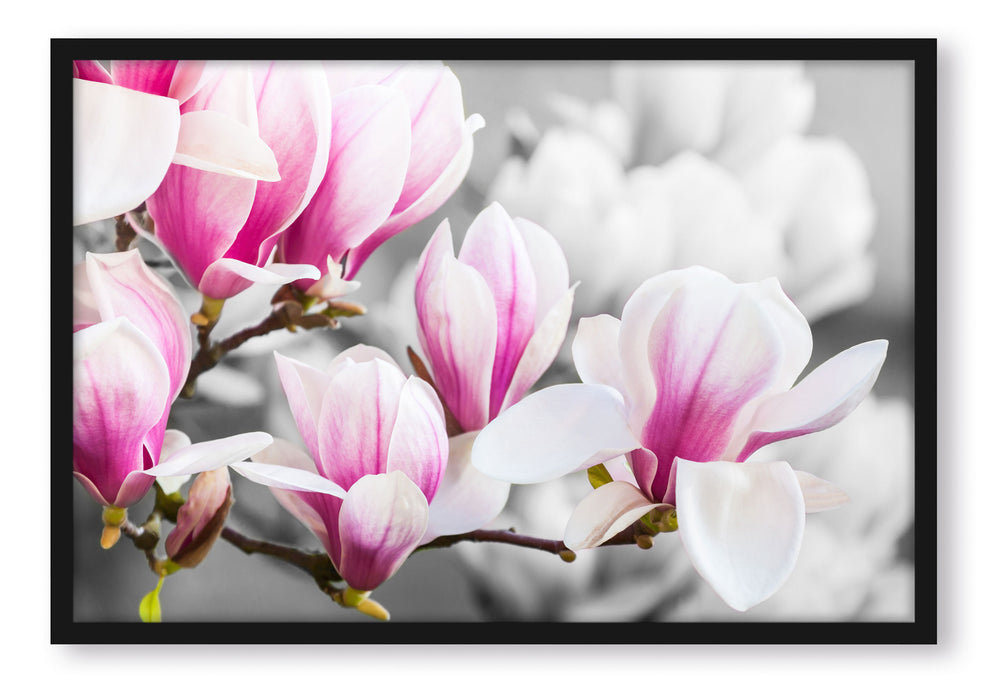 Pixxprint feine rosa farbende Blüte, Poster mit Bilderrahmen