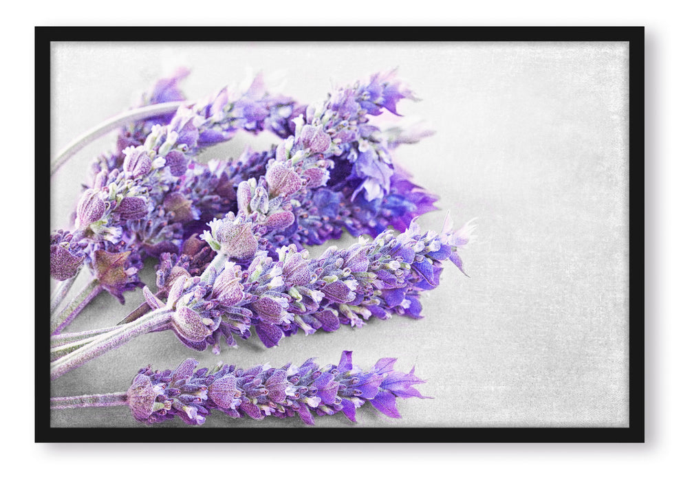 Pixxprint getrockneter Lavendel, Poster mit Bilderrahmen