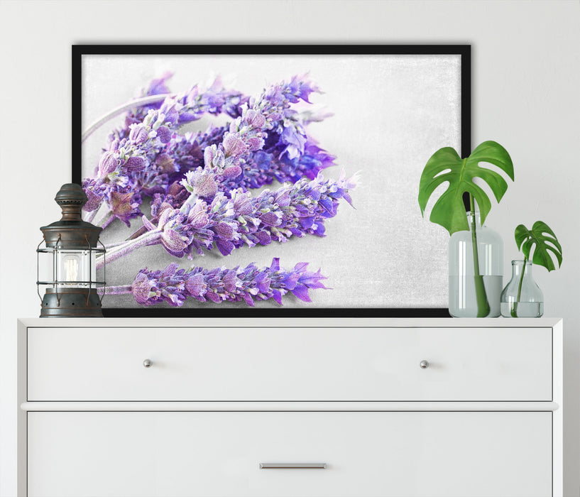 getrockneter Lavendel, Poster mit Bilderrahmen