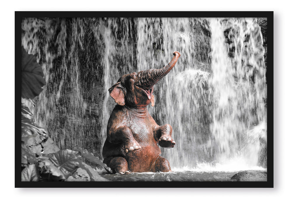 Babyelefant am Wasserfall, Poster mit Bilderrahmen