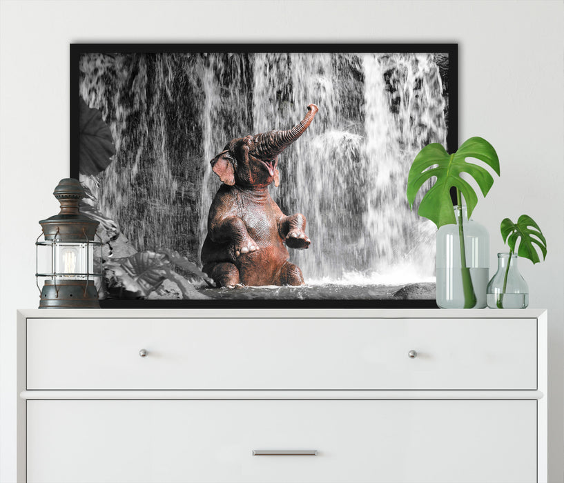 Babyelefant am Wasserfall, Poster mit Bilderrahmen