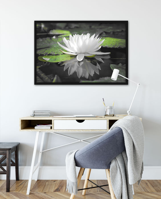 Weiße Lotusblume im Wasser, Poster mit Bilderrahmen