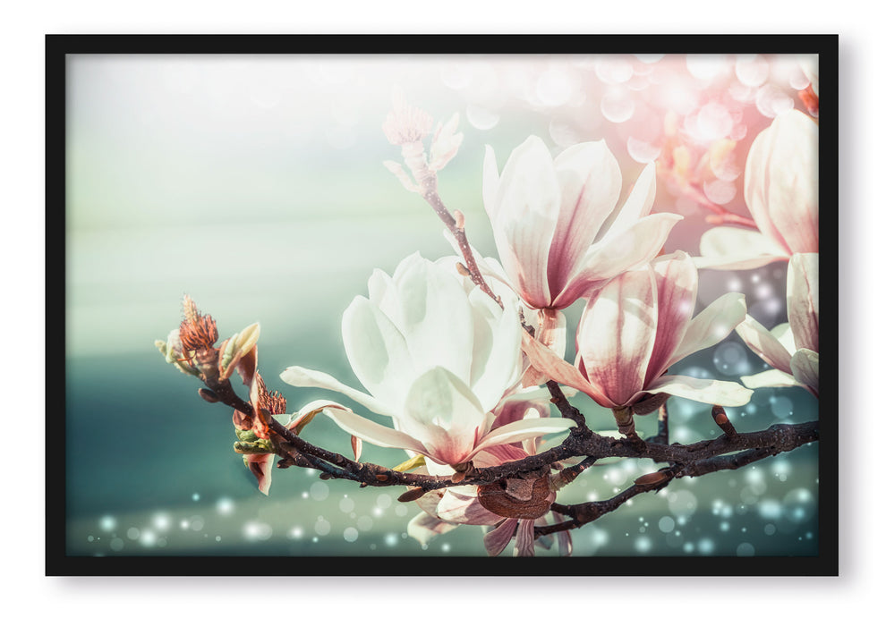 Pixxprint Wunderschöne Magnolien Nahaufnahme, Poster mit Bilderrahmen
