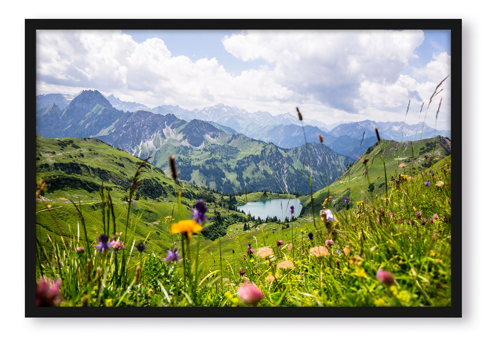 Pixxprint Wiesenblumen in den Bergen, Poster mit Bilderrahmen
