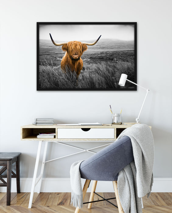 Highland Rind mit großen Hörnern Steppe B&W Detail, Poster mit Bilderrahmen