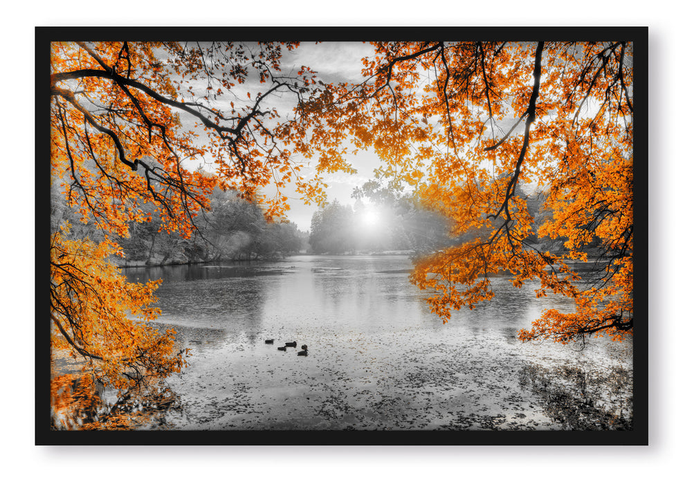 Pixxprint Herbstbäume um See bei Sonnenuntergang B&W Detail, Poster mit Bilderrahmen