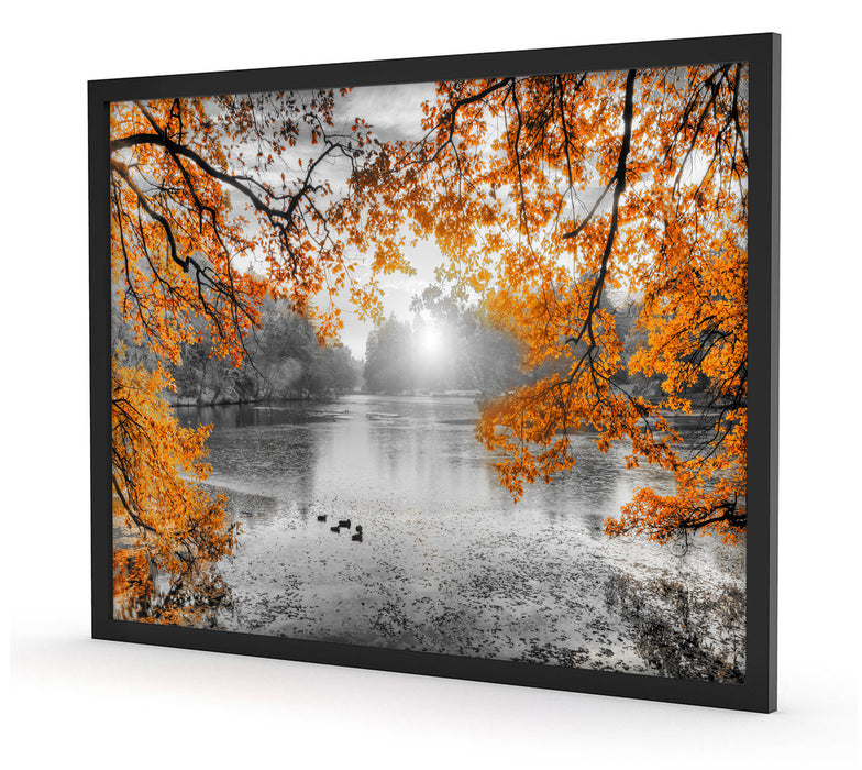 Herbstbäume um See bei Sonnenuntergang B&W Detail, Poster mit Bilderrahmen