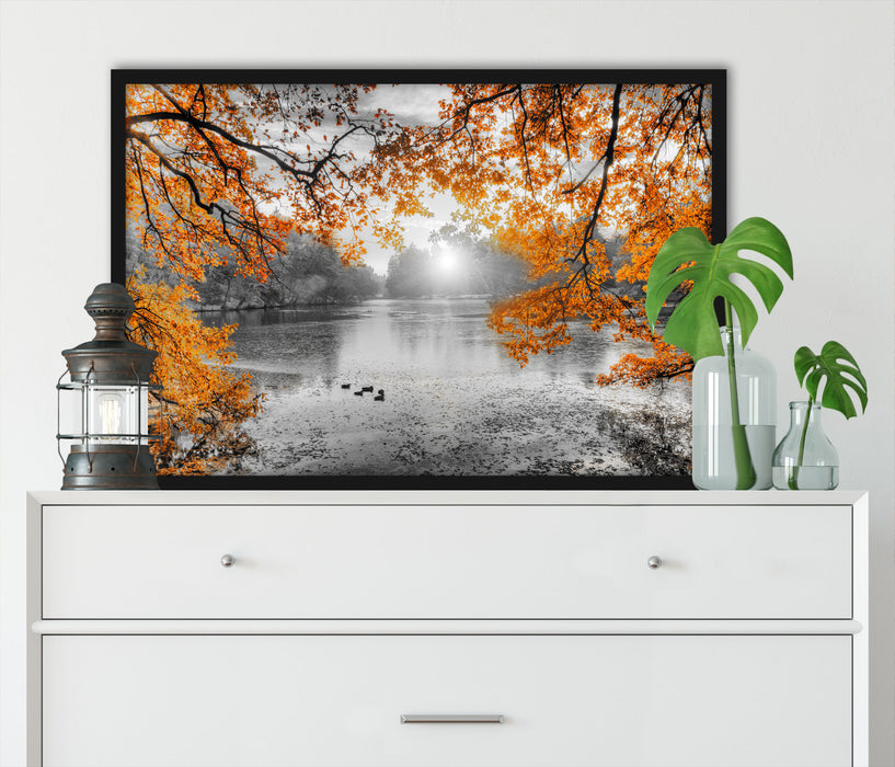 Herbstbäume um See bei Sonnenuntergang B&W Detail, Poster mit Bilderrahmen