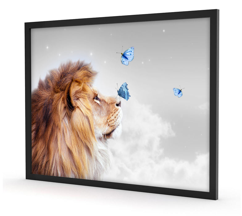 Löwe mit blauen Schmetterlingen B&W Detail, Poster mit Bilderrahmen