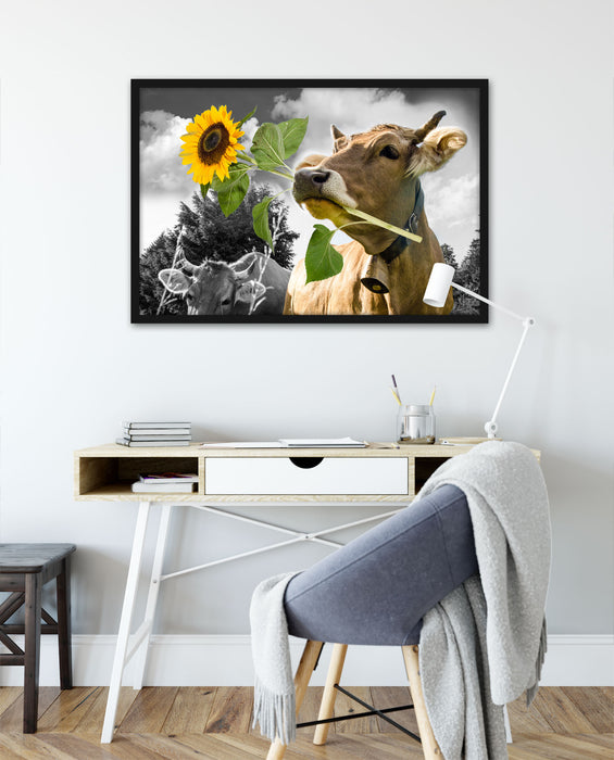 Nahaufnahme Kuh mit Sonnenblume im Maul B&W Detail, Poster mit Bilderrahmen