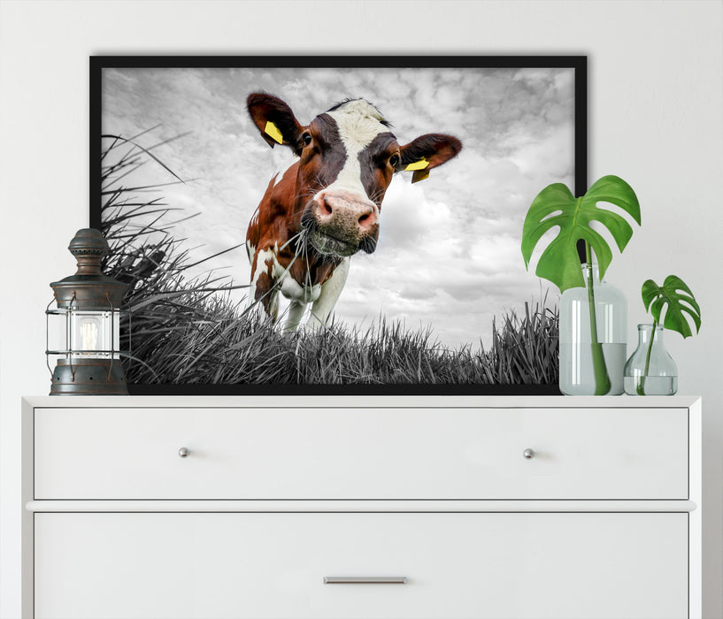 Nahaufnahme Grasende Kuh auf Weide B&W Detail, Poster mit Bilderrahmen