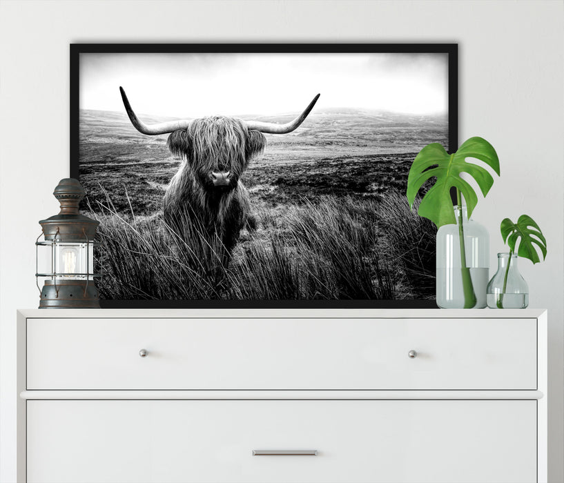 Highland Rind mit großen Hörnern Steppe, Monochrome, Poster mit Bilderrahmen