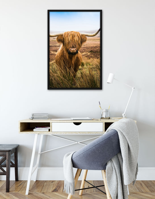 Highland Rind mit großen Hörnern Steppe, Poster mit Bilderrahmen