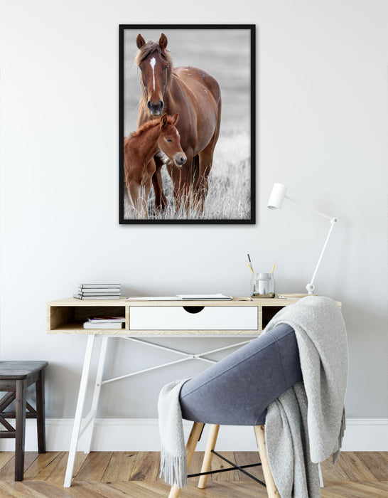 Pferdemutter mit Fohlen auf Wiese B&W Detail, Poster mit Bilderrahmen