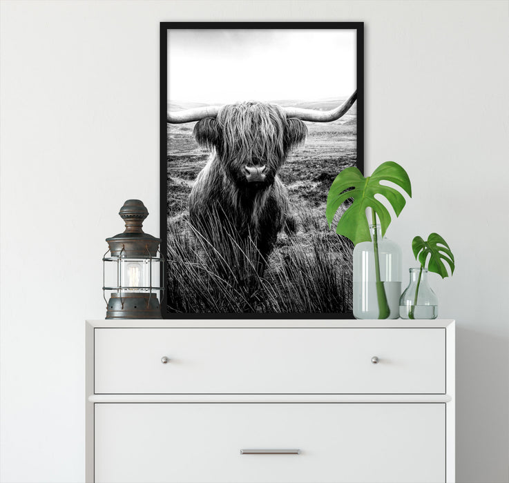 Highland Rind mit großen Hörnern Steppe, Monochrome, Poster mit Bilderrahmen
