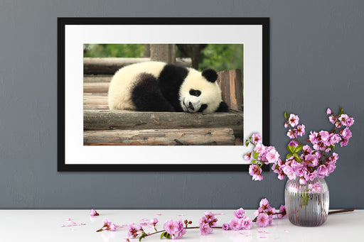 süßer kleiner Pandabär Passepartout Wohnzimmer