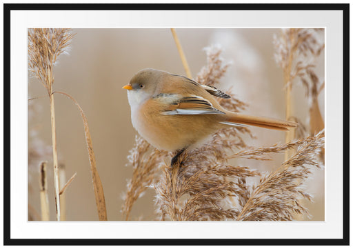 kleiner Vogel auf Weizen Passepartout 100x70