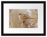 kleiner Vogel auf Weizen Passepartout 38x30