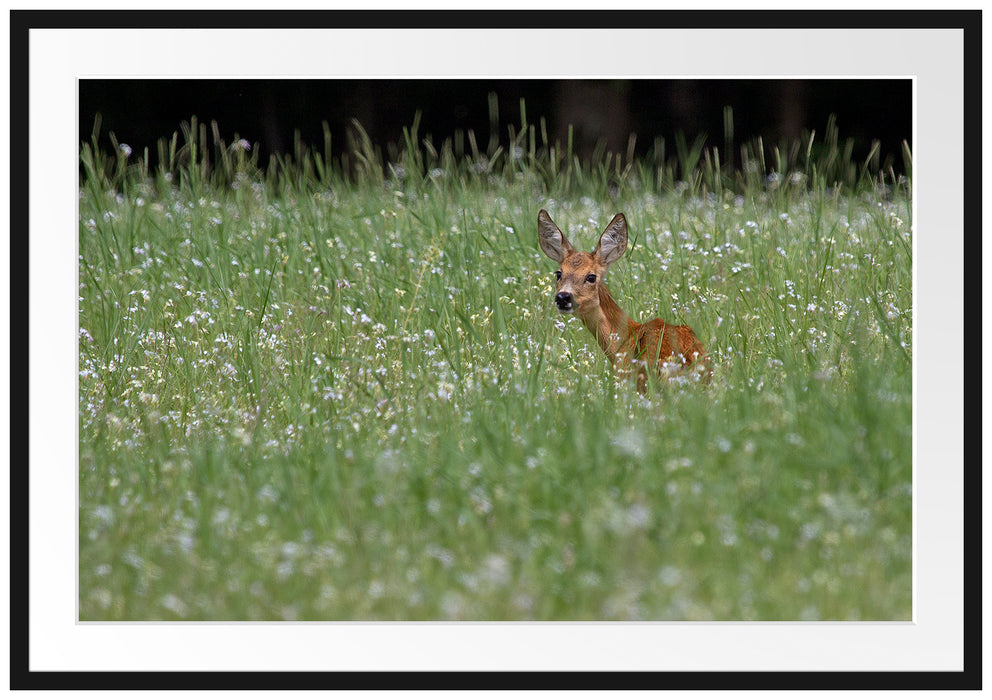 Pixxprint kleines Rehkitz auf Wiese, im Galerie-Passepartout Bilderrahmen