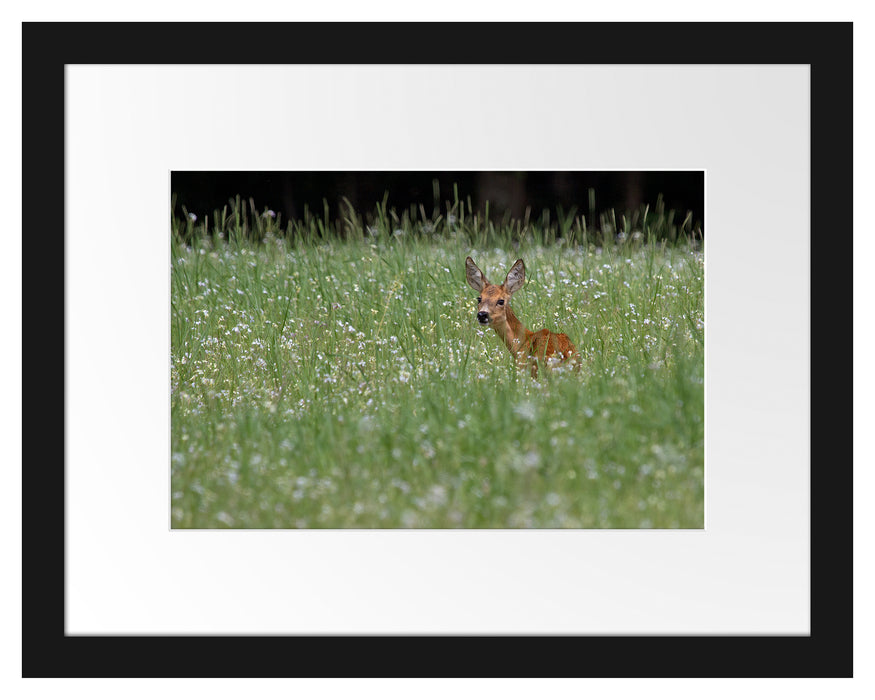 kleines Rehkitz auf Wiese Passepartout 38x30