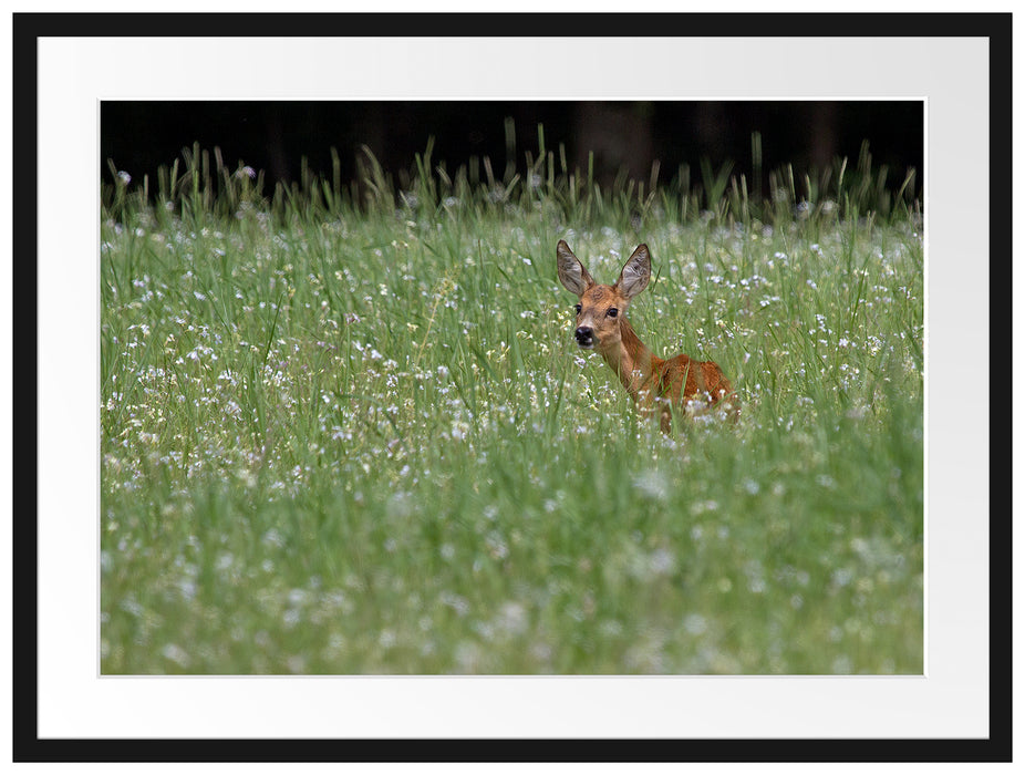 kleines Rehkitz auf Wiese Passepartout 80x60