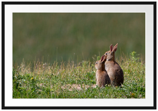 zwei Häschen auf Frühlingswiese Passepartout 100x70